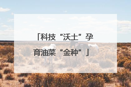 科技“沃土”孕育油菜“金种”
